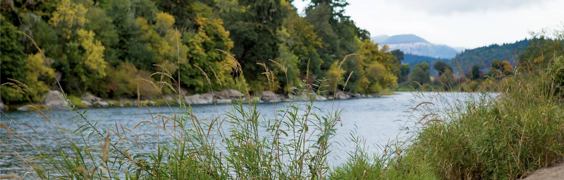 A photo of the Umpqua river with mountains in the background